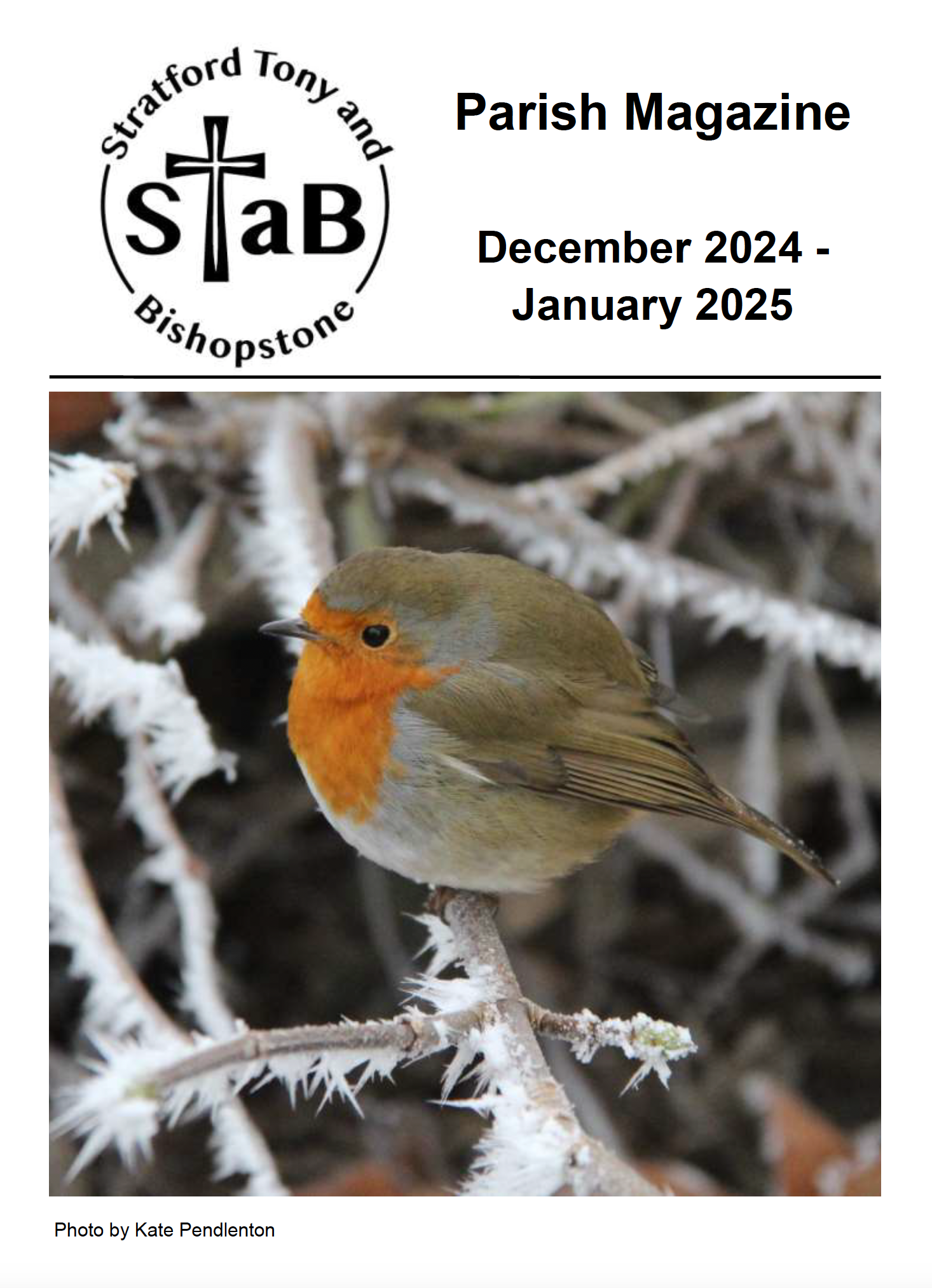 Cover of STaB December 2024/January 2025